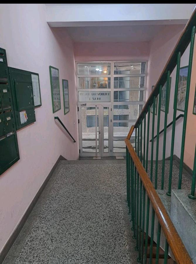 Apartman Milica 2023 Beograd Bagian luar foto
